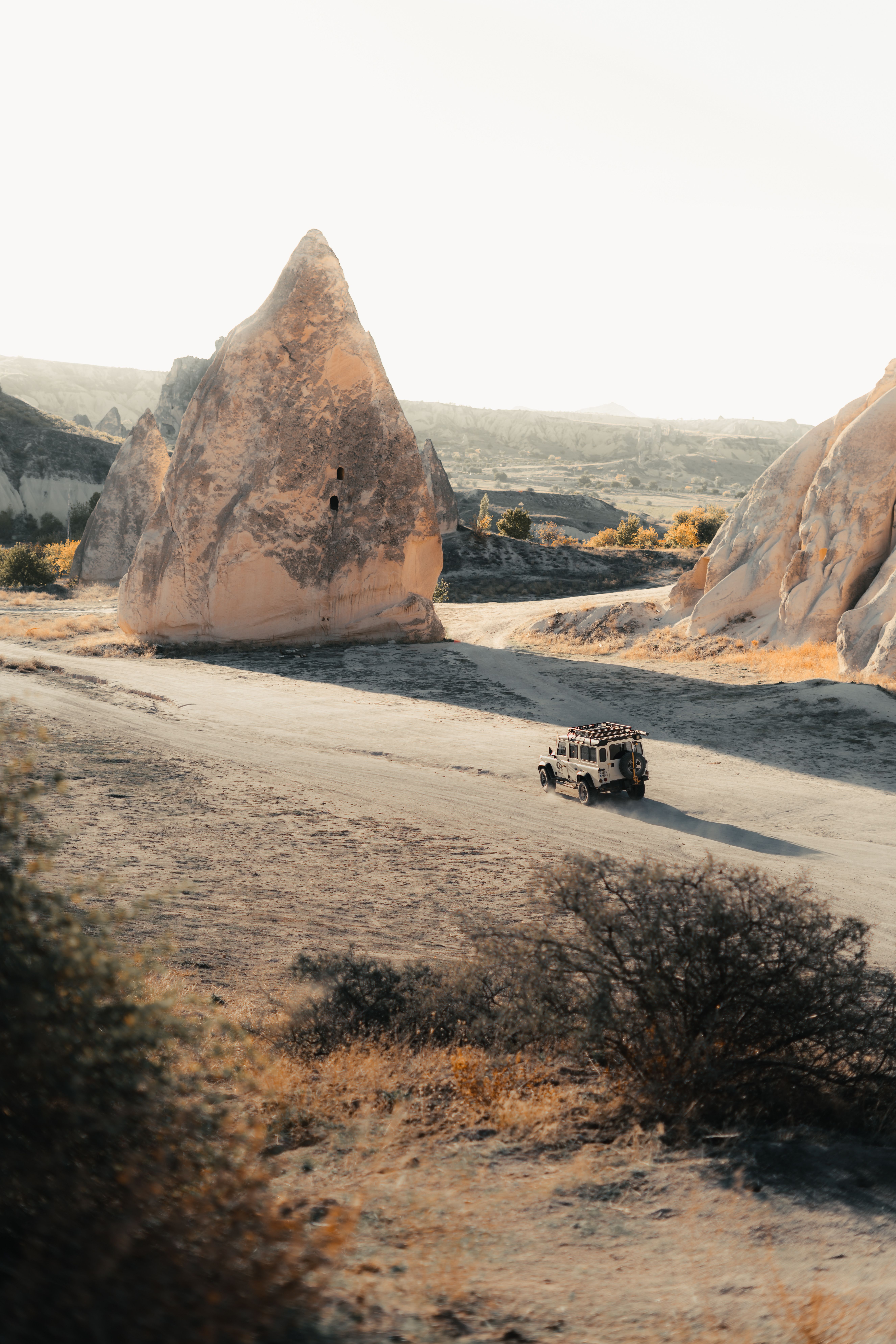 Doğanın Kalbinde Safari